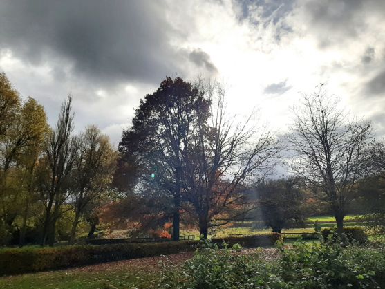 Paysage d‘automne (Muriel)